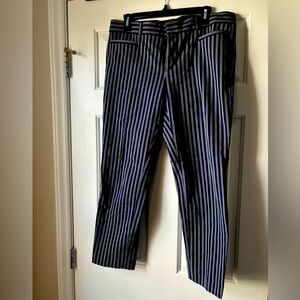 Navy & White Striped Sloan Banana Republic Pants with Pockets!